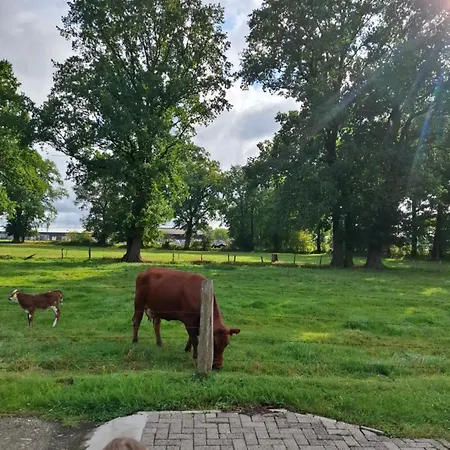 Prima Quartier Lejlighedshotel 3*